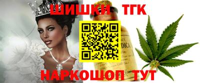 скорость Гатчина