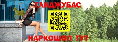 spice Гай